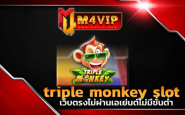 pxj ทาง เข้าtriple monkey