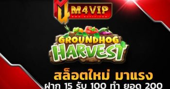 wo365Groundhog Harvestz